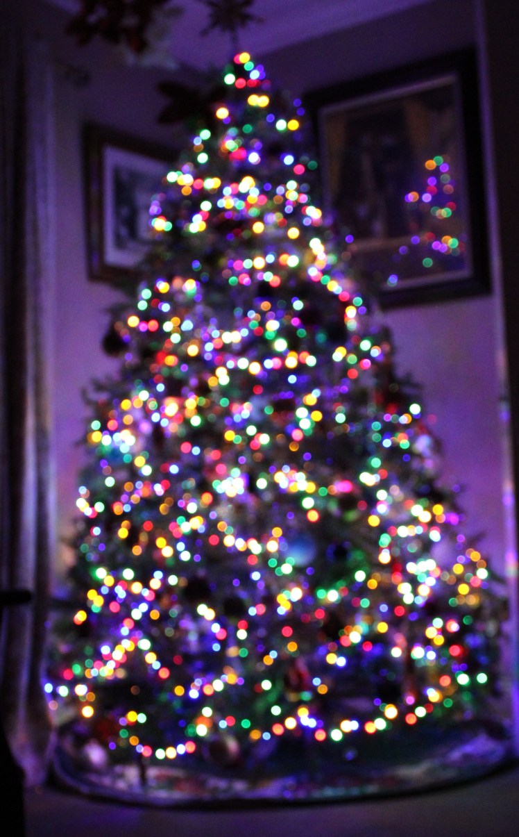 Merry Christmas Everyone.