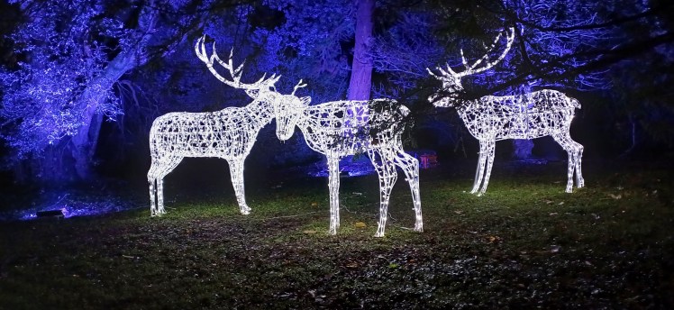 Wonderlights at Fota House: A Spectacular Light&nbsp;Show